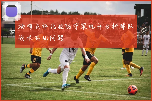 杨鸣点评北控防守策略并分析球队战术混乱问题