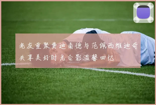 老友重聚费迪南德与范佩西维迪奇共享美好时光合影温馨回忆