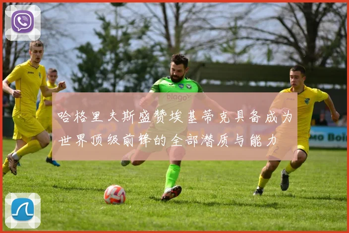 哈格里夫斯盛赞埃基蒂克具备成为世界顶级前锋的全部潜质与能力